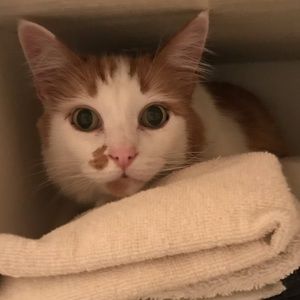 Meet your Posher, Eden